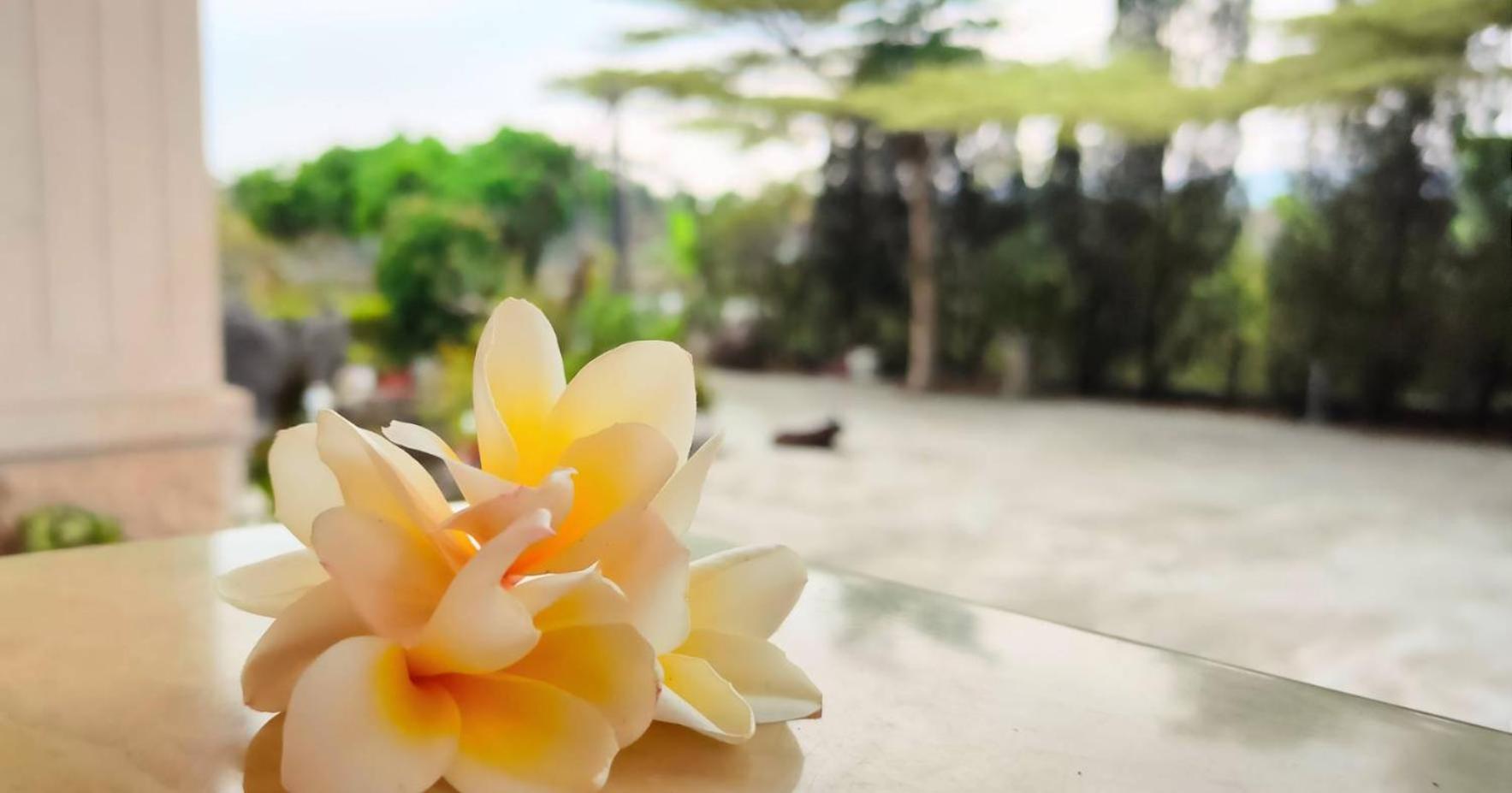登雲villa Shan-lin Buitenkant foto